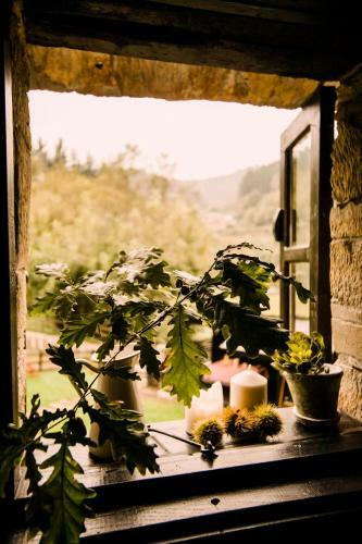 Apartamento Casa Calma Rural