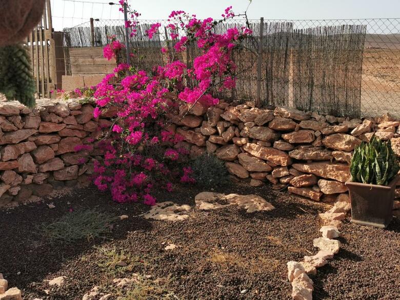 Bed & Breakfast Villa Cecilio
