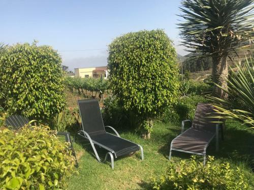 Apartamento Casa Lazaro, Tegueste