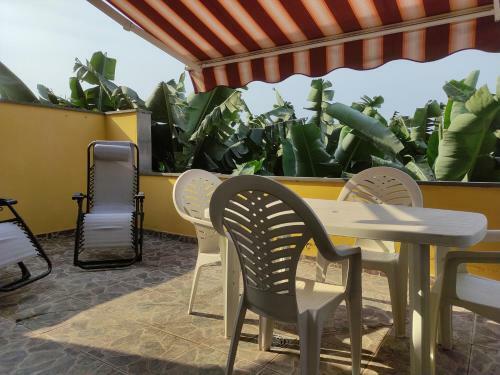 Apartamento Palma Tellus