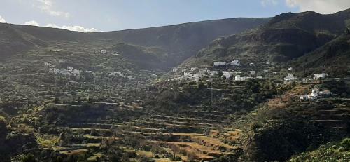 The Pines House In Temisas
