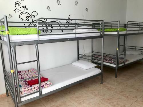 Canary Sun Hostel