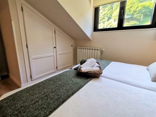 Apartamentos La Arandanera
