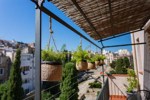 City Center Apartments