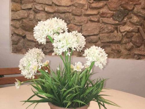 Apartament de La Susanna Old Town Mezzanine