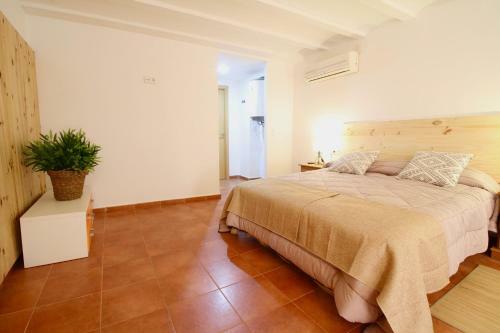 Apartamento Duplex En Planta Baja Junto A La Catedral