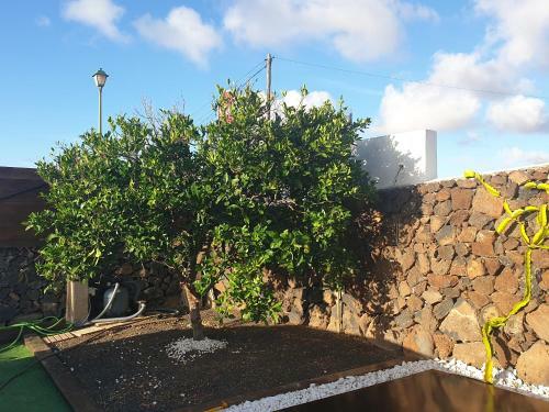Apartamento La Malvas�a