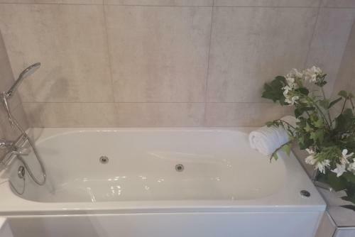 Chalet Tijarafe - Spc01100h-tya