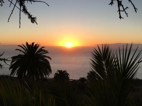 Aparthotel Ferien Haus La Palma