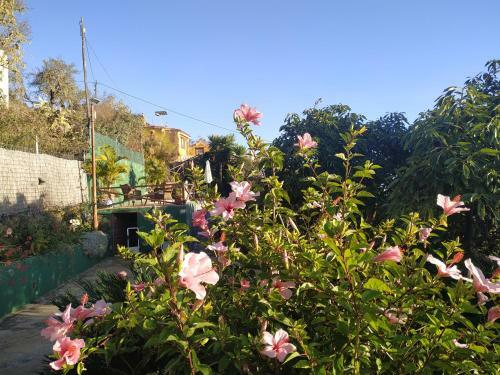 Casa Tata