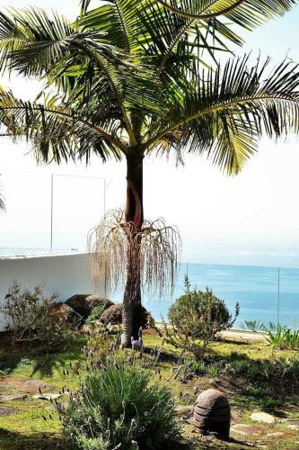 Villa Perseidas