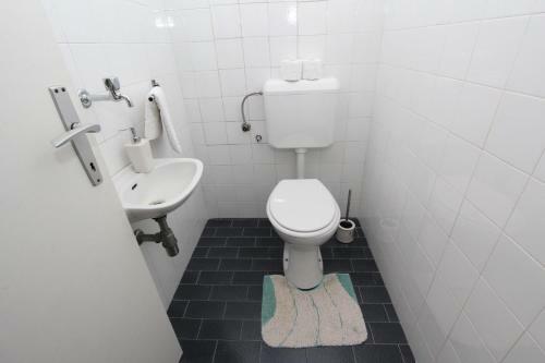 Apartment Rokov