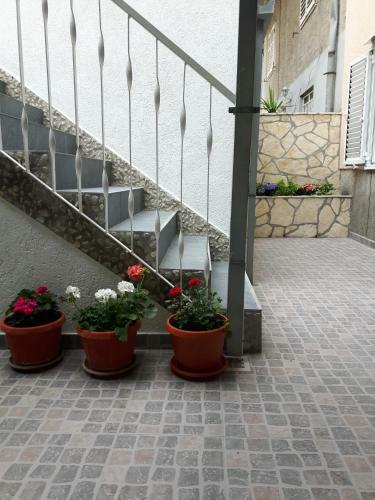 Apartment Stipe