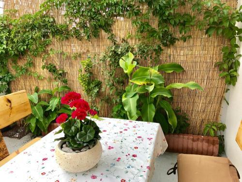 Lusea Apartments