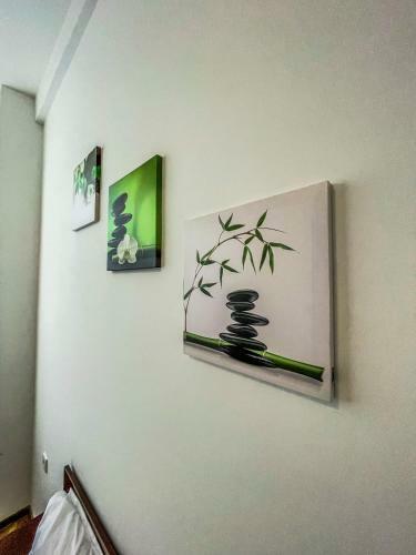 Hostal Lotus Rooms