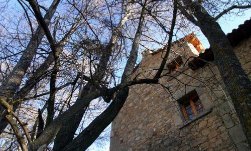 La Torre Del Molino