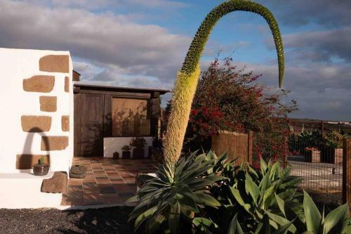 The Sea View Cottage