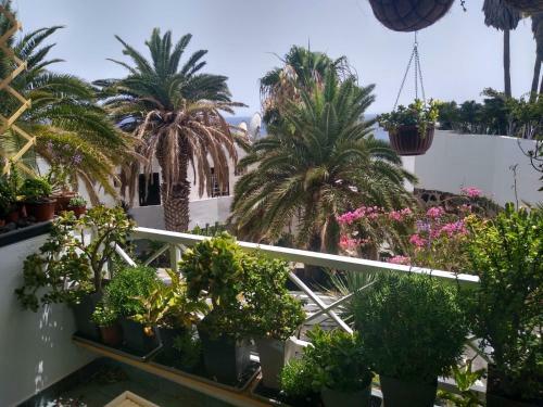 Apartamento Modern & Spacious Studio Isla, Puerto Del Carmen