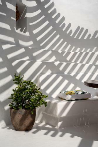 Apartamento Las P�rgolas Villa Rural