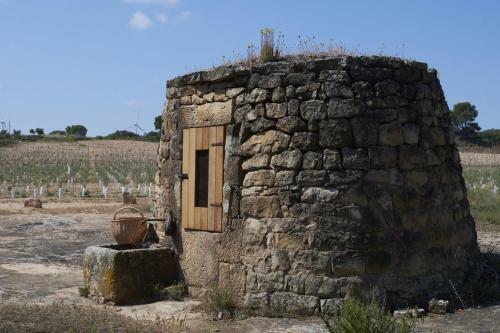 La Casa Del Lino