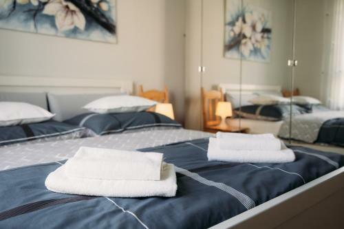 Apartament 15