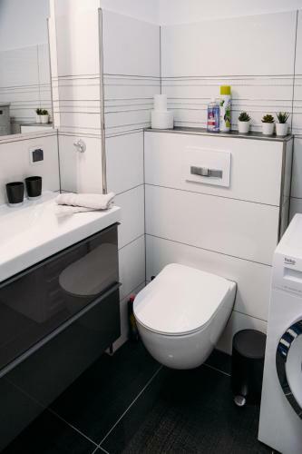 Apartament 15