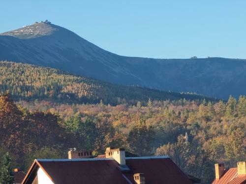 Apartament W Karkonoszach
