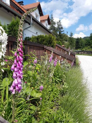 Apartamento Wysokie ??ki Domki W G�rach