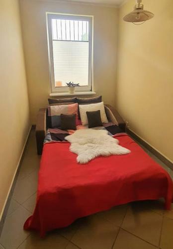 Apartament Centrum Koszalin