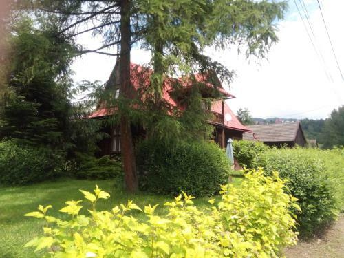 Apartament U Wolskich