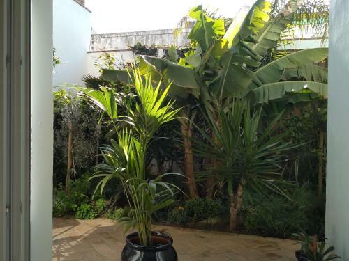 Tarifa Garden Townhouse
