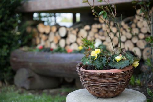 ?mietan�wka Agroturystyka