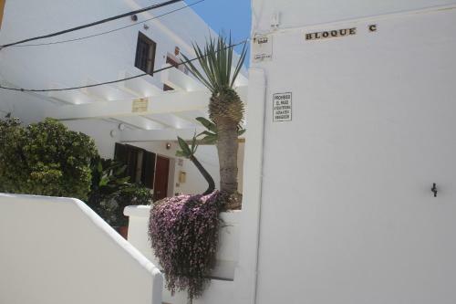 Los Lances Beach Apartments