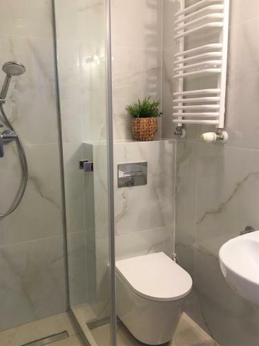 Apartament Agaciula