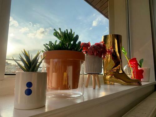 Apartament Le?ny - Le?na 30