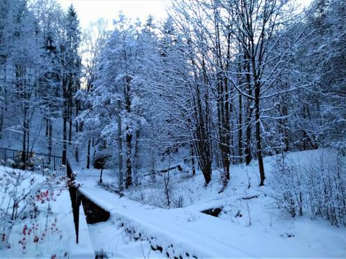 Bed & Breakfast Dworek Le?ny