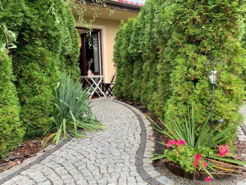 Apartamento Willa Zdr�j