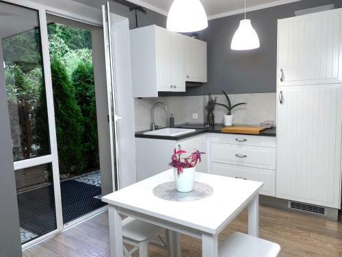 Apartamento Willa Zdr�j