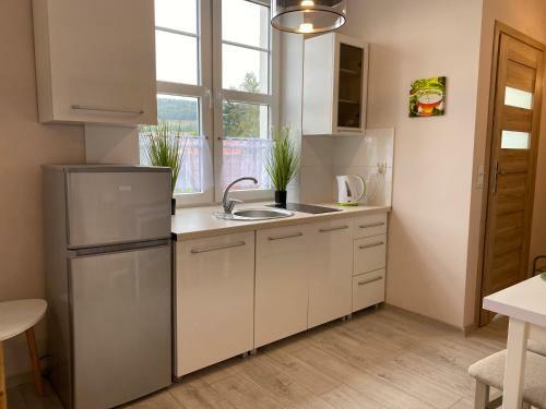 Apartamenty W Brzozowym Gaju
