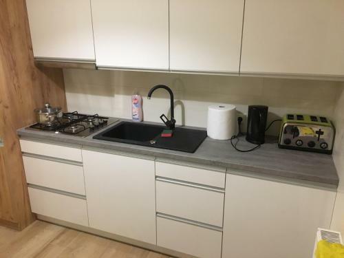 Apartament Pu?askiego