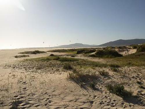 Apartamento Tarifa C�ntrico Y Cerca de La Playa