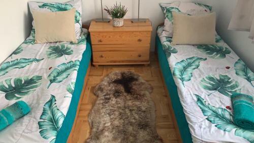 Apartament Czarny Potok