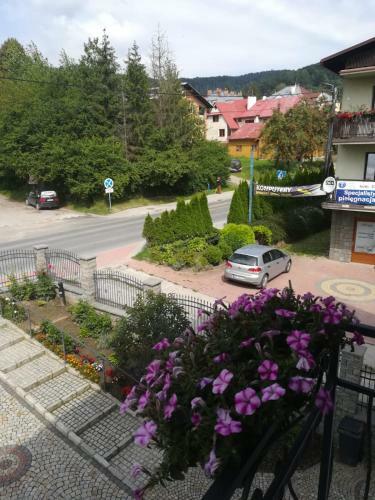 Apartament Kraszewskiego