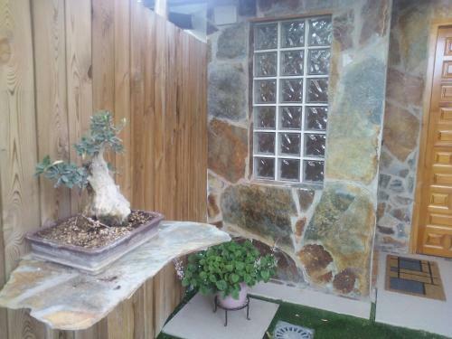 Apartamento Los Bons�is