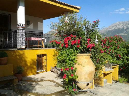 Villa Rosario
