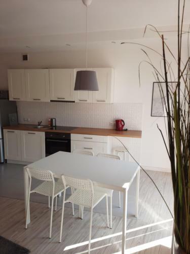 Apartament Kraszewskiego 35