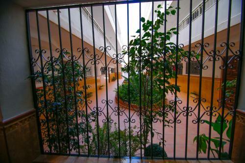 Apartamento Vella Rosa 2