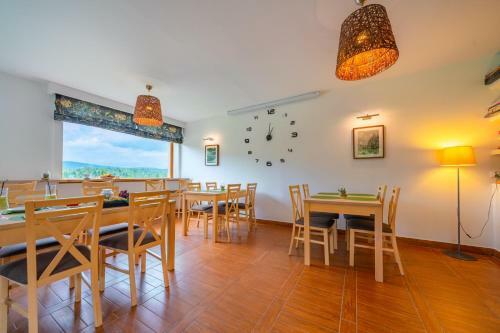 Bed & Breakfast Willa Montis