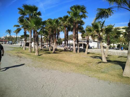 Apartamento �tico Con Piscina Y Barbacoa