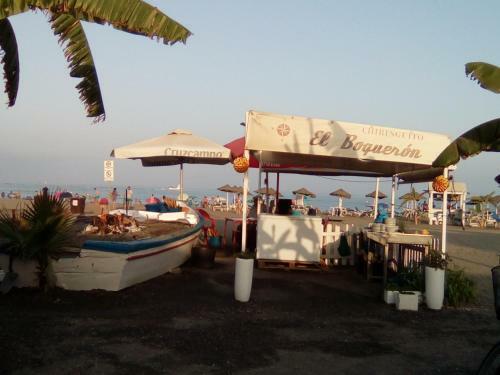 Casa Tesoro
